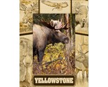 Yellowstone National Park Wildlife Collage Engraved Picture Frame Portra... - $25.99