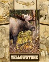Yellowstone National Park Wildlife Collage Engraved Picture Frame Portrait 3 x 5 - $25.99