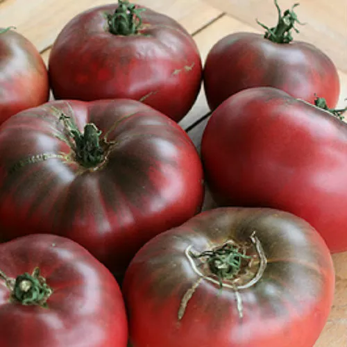 SGH 30 Cherokee Purple Tomato Seeds Non GMO USA Seller Planting Seeds - $8.63