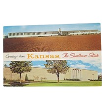 Postcard Greetings From Kansas The Sunflower State Chrome Posted - £7.03 GBP