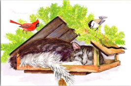Postcard Painting Cat in Bird  Feeder Artist Unknown  6 x 4 Inches - £3.94 GBP