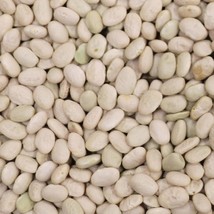 White Tepary Bush Dry Bean 60 Seeds Vegetable Bean Gardening USA Shipping - $10.00