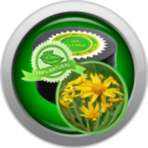ARNICAmfort™ Arnica Salve - $24.99+