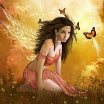 Butterfly Fairies  – Choice of Gender - Direct or Remote Bind Only - £56.09 GBP