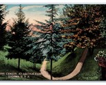 Canyon Presso Lincoln Park TACOMA Washington Wa Unp DB Cartolina V18 - $8.14