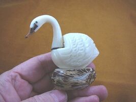 (TNE-BIR-SW-116a) white trumpeter Swan TAGUA NUT palm figurine swans - $28.95