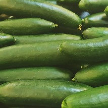 Fresh Seeds USA Seller Straight Eight Cucumber 25 Seeds - £4.31 GBP