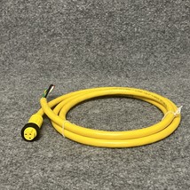 Woodhead Connectivity 103000A01F060 Female Straight Sensor Cordset 3-Pin... - $21.77