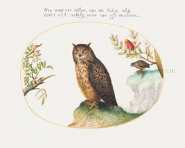 14142.Decor Poster.Room wall art design.Vintage drawing.Animal world.Owls - £12.19 GBP+