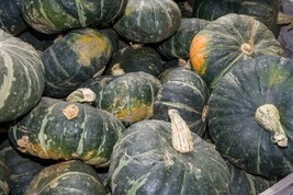 Buttercup Squash Seeds 20 Ct Burgess Buttercup Winter Vegetable From US - $7.06