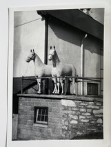Two Large Horse Statues Black and White 60s-70s B&amp;W Kodak Photo  7&quot;x5&quot; - £6.72 GBP