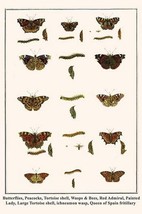 Butterflies, Peacocks, Tortoise shell, Wasps &amp; Bees, Red Admiral, Painte... - £17.57 GBP+