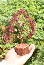 Red Garnet Crystal Tree | Copper Wire Bonsai for Love &amp; Strength | Janua... - $39.59+