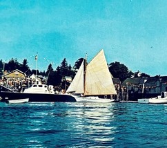 1960s Friendship Maine Harbor Sloop Day Postcard Sailboats Nautical E86RP3 - $19.99