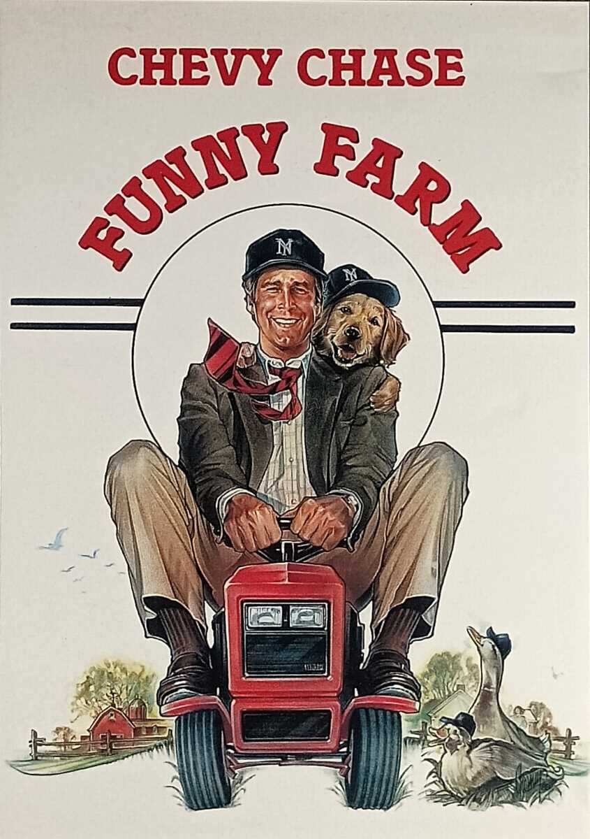 Funny Farm [DVD FS 2010] 1988 Chevy Chase, Madolyn Smith, Kevin O&#39;Morrison - $3.41