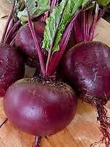 HSeeds Beet, Ruby Queen (50 Seeds) - $5.22