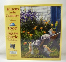 Kittens in the Country SunsOut Puzzle - 1000 Pieces 20&quot; x 27&quot; New - $18.95