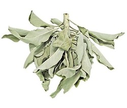 1 ounce Loose California White Sage Leaves &amp; Clusters! - £3.11 GBP