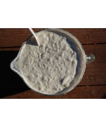 The SOURDOUGH STARTER YEAST california gold rush country OLD + recipes l... - €6,61 EUR