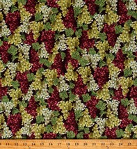 Cotton Grapes Fruit Food Red Green Multicolor Fabric Print by Yard D571.96 - £11.03 GBP