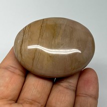 59.4g, 2.1&quot;x1.7&quot;x0.7&quot; Picture Jasper Palm-Stone Gemstone Home Decor, B20259 - £3.83 GBP