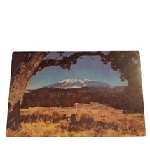 Postcard Snow-Covered San Francisco Peaks Home of Kachina Gods Chrome Posted - £5.46 GBP