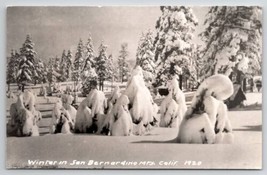 Winter In San Bernardino Mts California RPPC Postcard X21 - £5.52 GBP