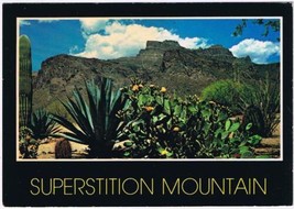 Arizona Postcard Superstition Mountain Beavertail Cactus Apache Junction - $2.05