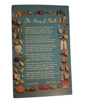 Postcard The Story of Shells Seashells Poem Chrome 1956 Posted - $6.92