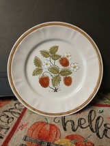 Americana Hearthside Berries &#39;n Cream Dinner Plate 10 1/2&quot; Vintage, Vg - £5.82 GBP