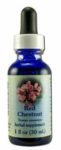Flower Essence Healing Herbs Red Chestnut Dropper - 1 fl oz - £11.92 GBP