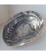 Beautiful natural Abalone sea shell 16 cm for decor/crafting. (Mother of... - $13.03 CAD
