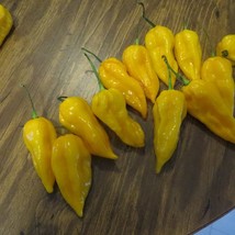 Fast Ship USA Seller 50 Pepper Seeds Bhut Jolokia Yellow Ghost Pepper - £20.14 GBP