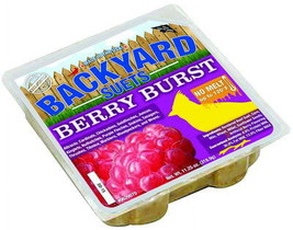 Backyard Seeds Berry Burst Suet Cake 12 Pack - €39,18 EUR