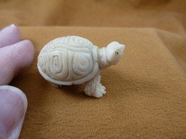 tb-turt-211) little tortoise Turtle TAGUA NUT palm figurine Bali I love turtles - £27.63 GBP