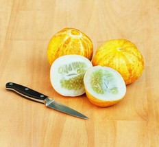 Lemon Cucumber - 5+ seeds - Cu 016 - $1.99