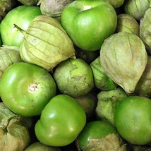 Fresh Seeds USA Seller Verde Tomatillo 25 Seeds - £3.89 GBP