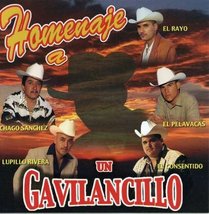 Homenaje a Un Gavilancillo [Audio CD] Homenaje a Un Gavilancillo - £18.89 GBP