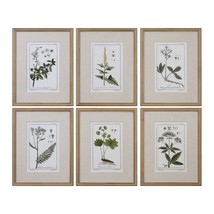 212 Main 33651 Green Floral Botanical Study Prints  Set of 6 - £285.06 GBP