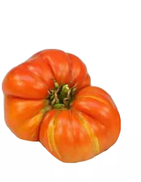 USA Seller FreshGranny Cantrell Tomato Seeds We Sell Over 300 Types Of T... - $12.98