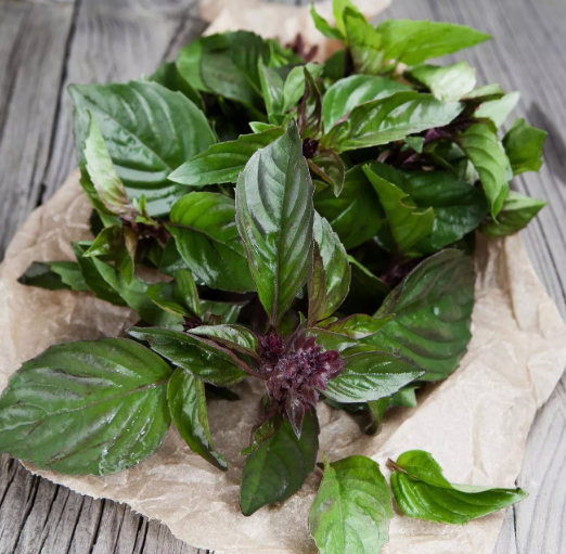 SD 500 Thai Basil Seeds (Ocimum Basilicum) Garden Seeds - £6.01 GBP