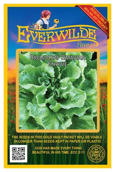 2000 Broadleaf Batavian Endive Seeds - Everwilde Farms Mylar Seed Packet - £7.02 GBP