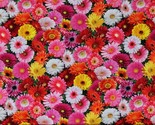 Cotton Gerber Daisy Daisies Flowers Multicolor Fabric Print by Yard D138.35 - $12.95