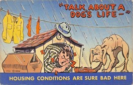 TALK ABOUT A DOGS LIFE~HOUSING CONDITIONS ARE SURE BAD HERE-COMIC POSTCA... - $7.91