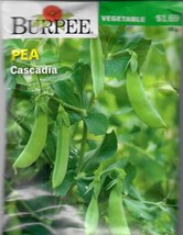 GUNEL Pea Cascadia Vegetable Seeds Burpee  - $9.00