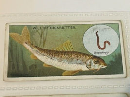 WD HO Wills Cigarettes Tobacco Trading Card 1910 Fish &amp; Bait Lure Gudgeo... - $19.69