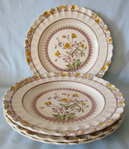 Spode Buttercup 2/7873 Dinner Plate 10 1/2&quot;, Set of 4, Older Back Stamp - £55.92 GBP