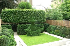 Outdoor Animal Sitting Yoga Frog Topiary Green Figures 67” covered in Ar... - $4,800.00