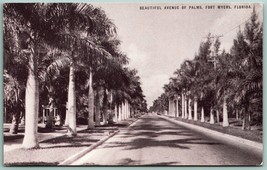 Avenue Of Palms Fort Myers Florida FL UNP Conoco Touraide Postcard F9 - £3.17 GBP
