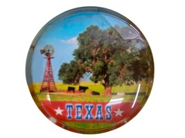 Texas with Tree and Windmill Round Glass Fridge Magnet - $6.99